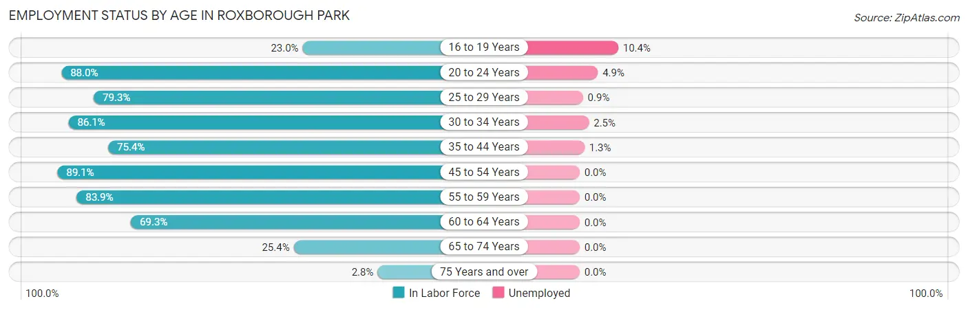 Employment Status by Age in Roxborough Park