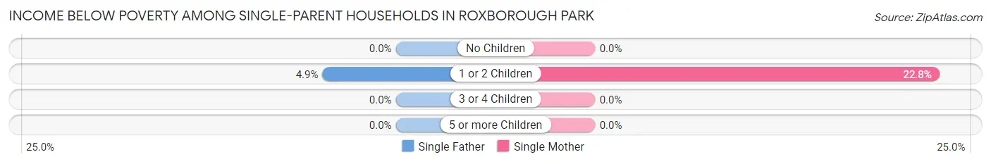 Income Below Poverty Among Single-Parent Households in Roxborough Park