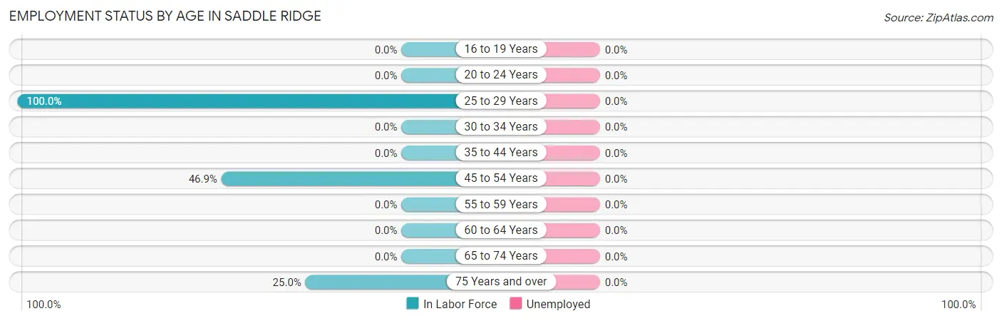 Employment Status by Age in Saddle Ridge
