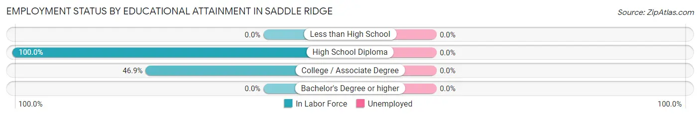 Employment Status by Educational Attainment in Saddle Ridge