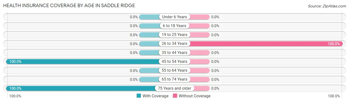 Health Insurance Coverage by Age in Saddle Ridge