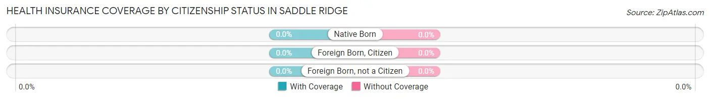 Health Insurance Coverage by Citizenship Status in Saddle Ridge