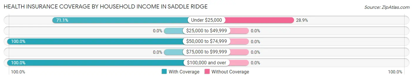 Health Insurance Coverage by Household Income in Saddle Ridge