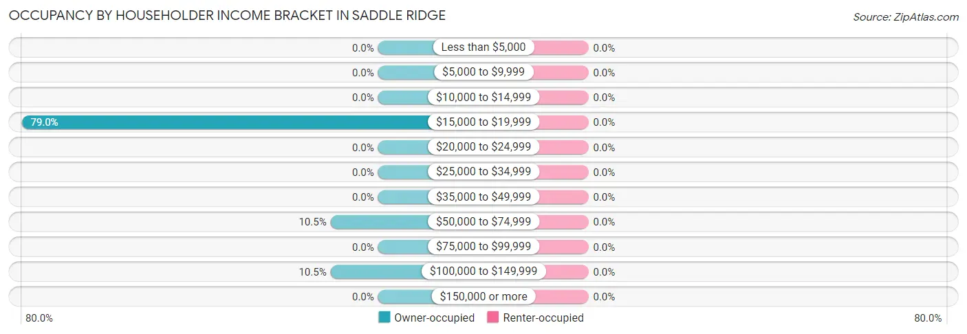 Occupancy by Householder Income Bracket in Saddle Ridge