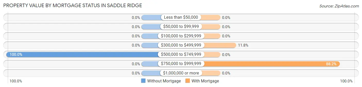 Property Value by Mortgage Status in Saddle Ridge