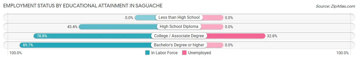 Employment Status by Educational Attainment in Saguache