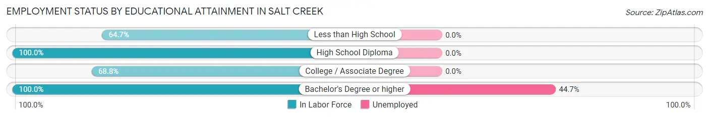 Employment Status by Educational Attainment in Salt Creek