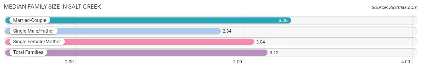 Median Family Size in Salt Creek