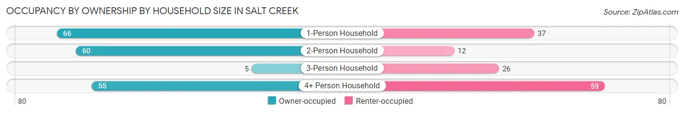 Occupancy by Ownership by Household Size in Salt Creek