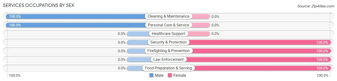 Services Occupations by Sex in Salt Creek