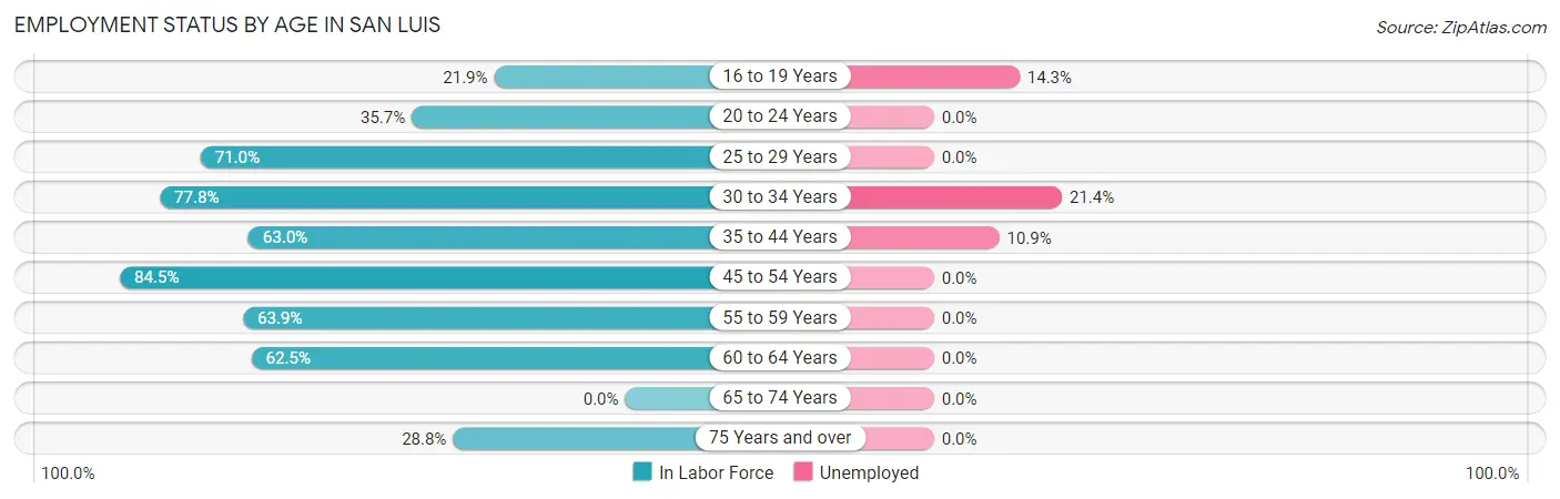 Employment Status by Age in San Luis