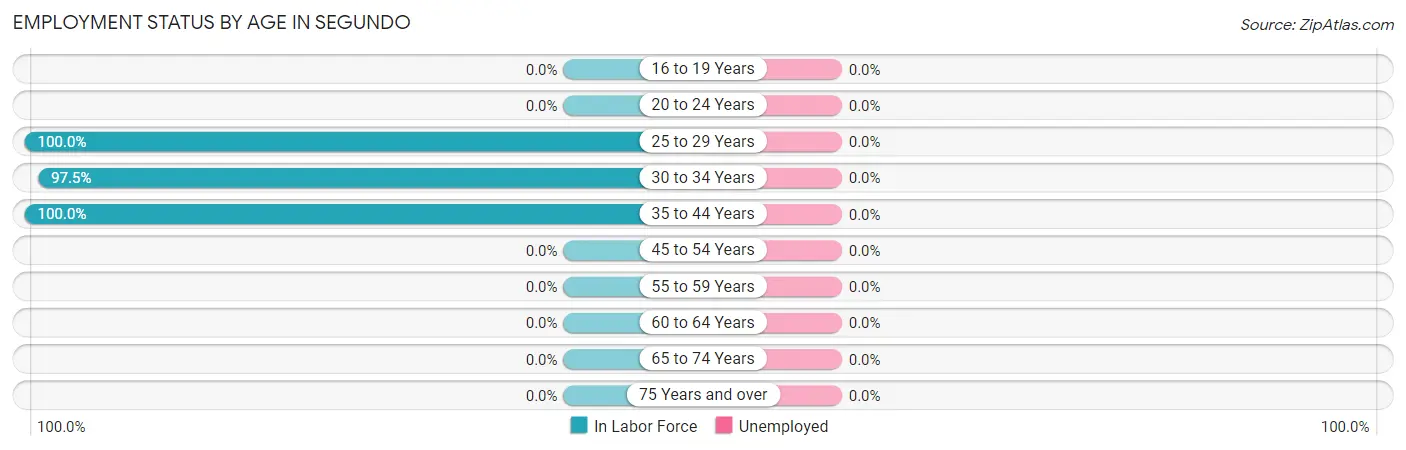 Employment Status by Age in Segundo