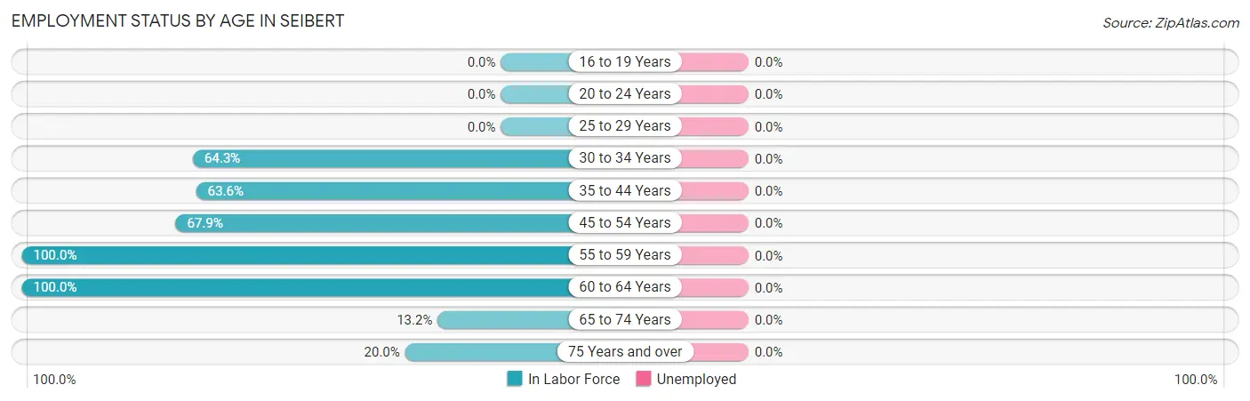 Employment Status by Age in Seibert