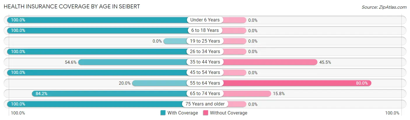 Health Insurance Coverage by Age in Seibert