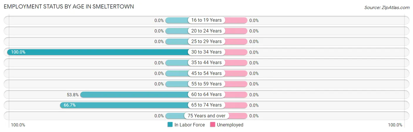 Employment Status by Age in Smeltertown