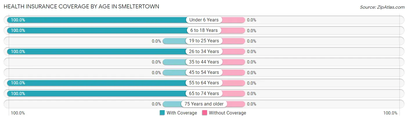 Health Insurance Coverage by Age in Smeltertown