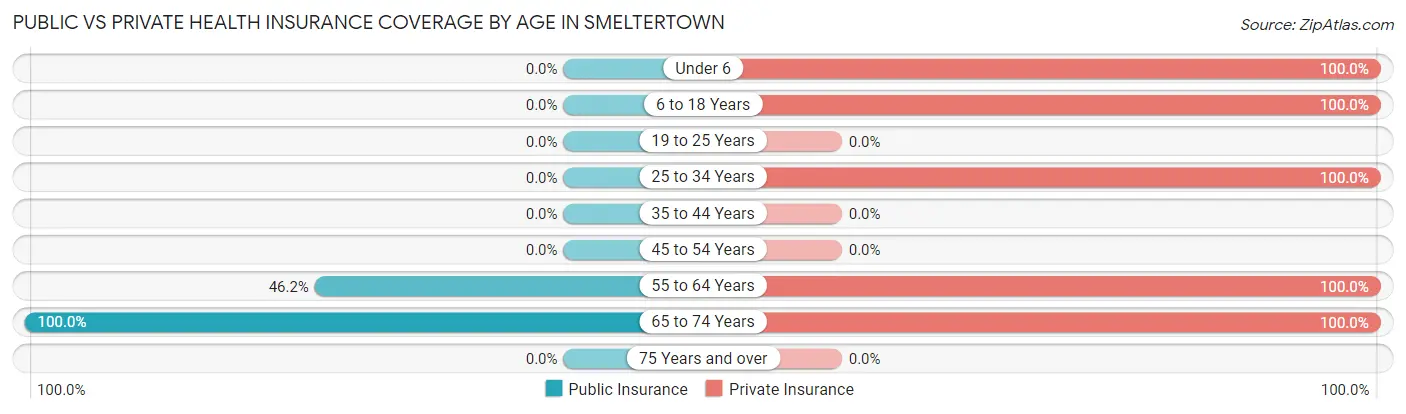 Public vs Private Health Insurance Coverage by Age in Smeltertown
