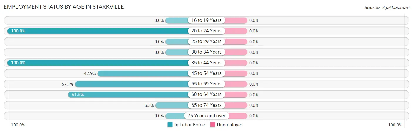 Employment Status by Age in Starkville