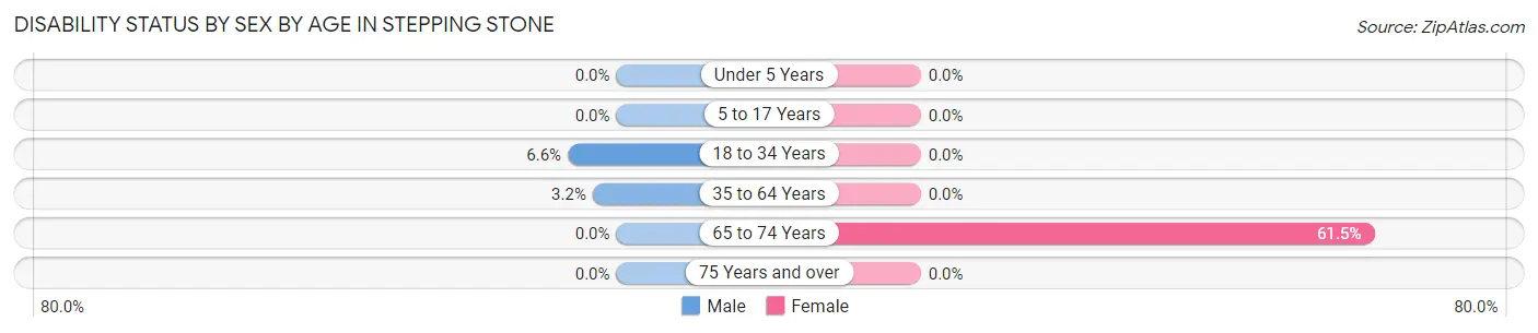 Disability Status by Sex by Age in Stepping Stone