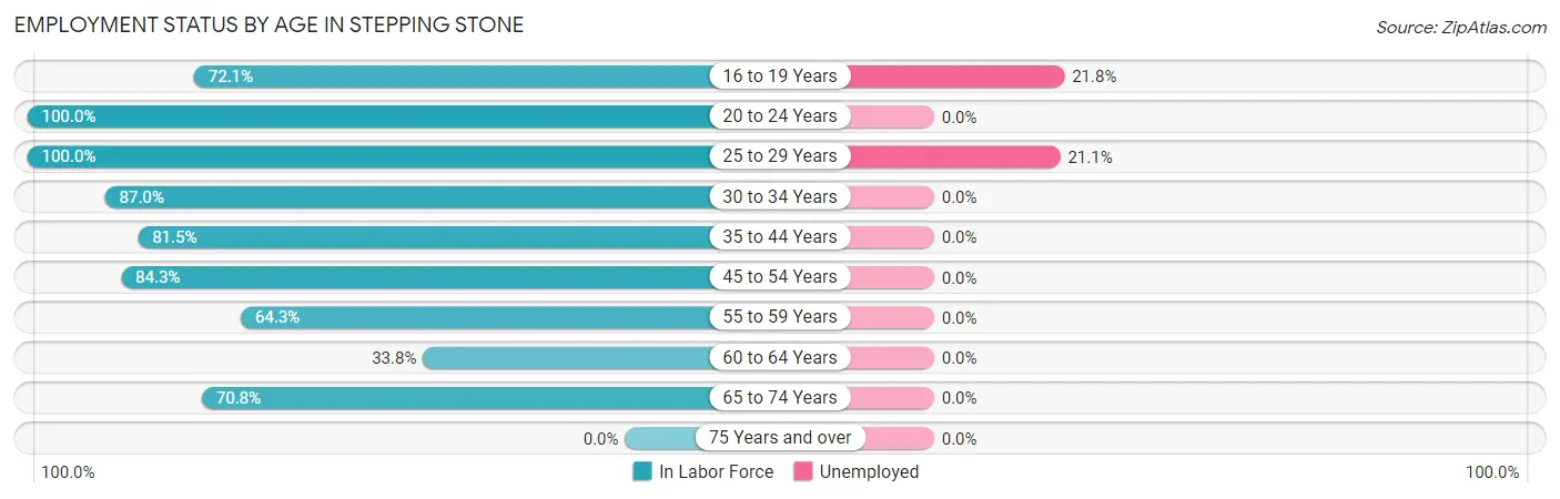 Employment Status by Age in Stepping Stone