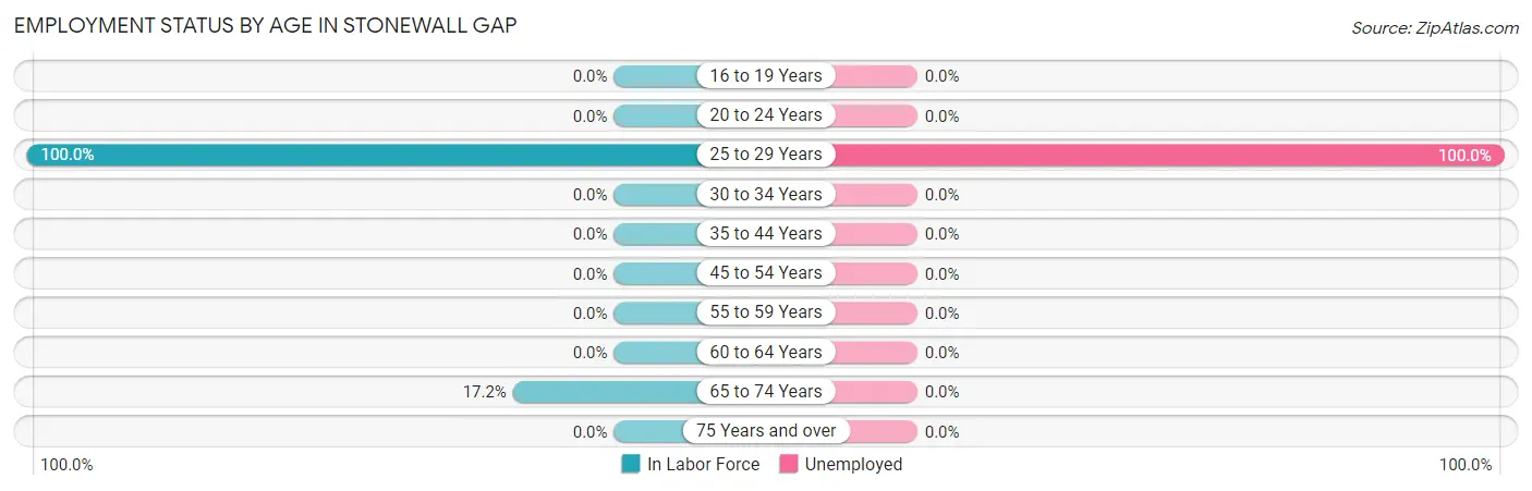 Employment Status by Age in Stonewall Gap