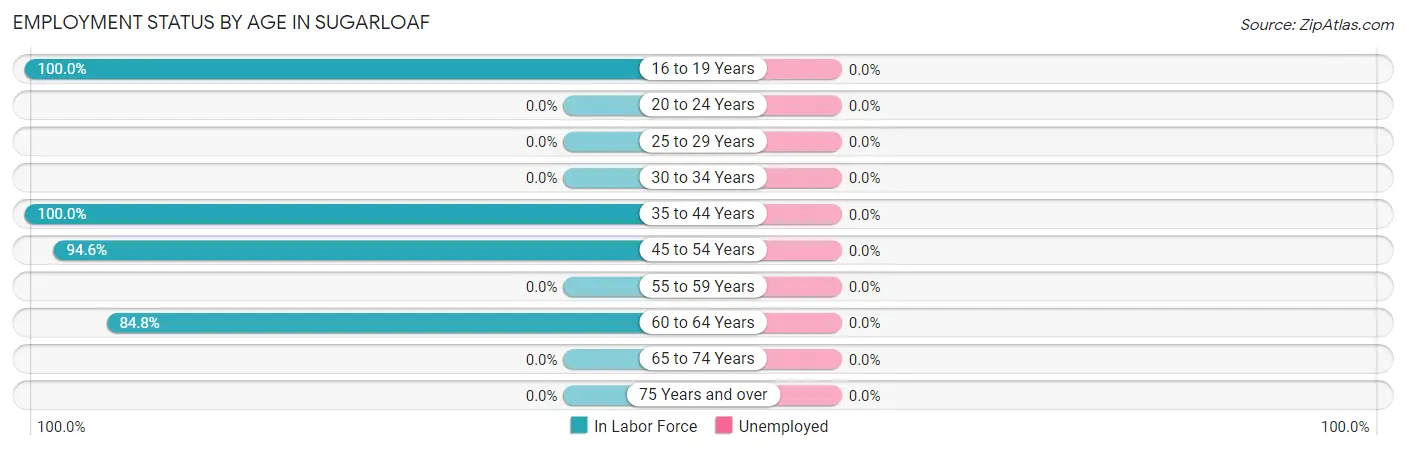 Employment Status by Age in Sugarloaf