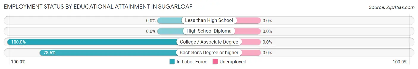 Employment Status by Educational Attainment in Sugarloaf