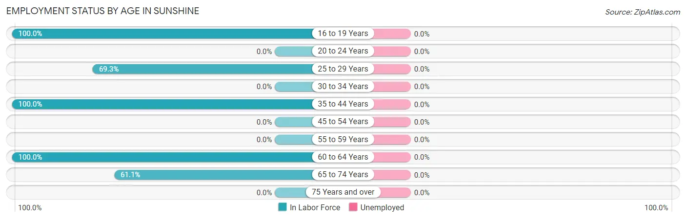 Employment Status by Age in Sunshine