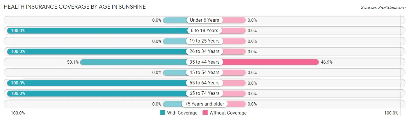 Health Insurance Coverage by Age in Sunshine