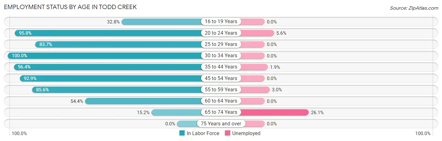 Employment Status by Age in Todd Creek