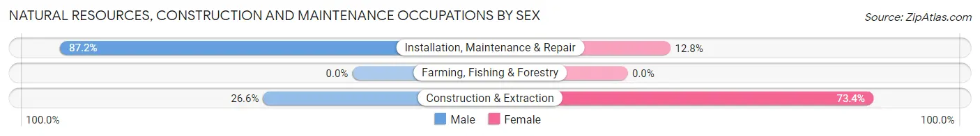 Natural Resources, Construction and Maintenance Occupations by Sex in Todd Creek