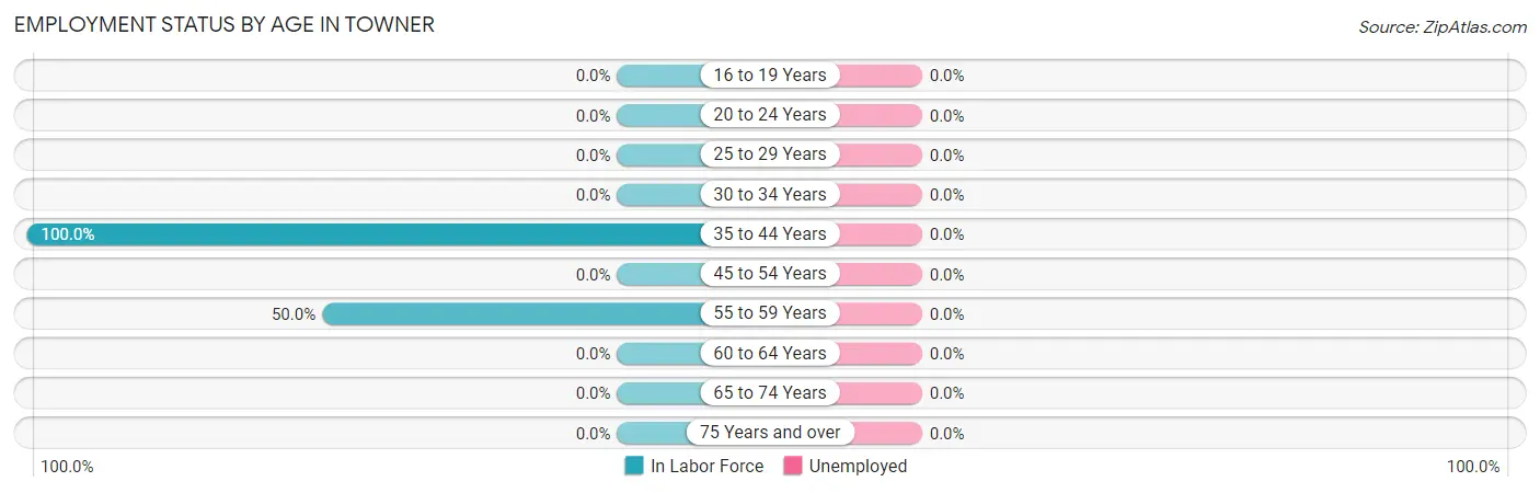 Employment Status by Age in Towner