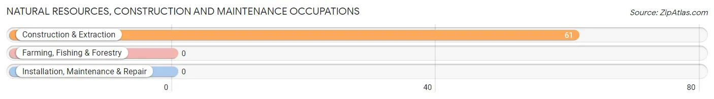 Natural Resources, Construction and Maintenance Occupations in Twin Lakes CDP Lake County