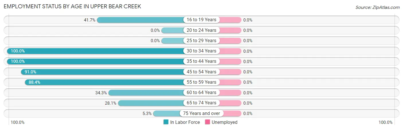 Employment Status by Age in Upper Bear Creek