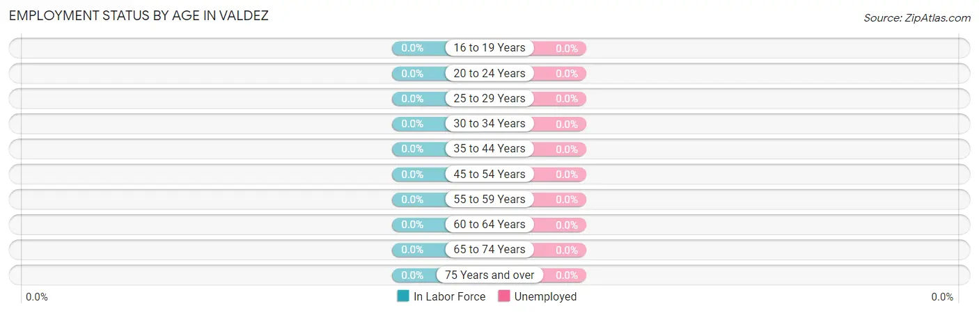 Employment Status by Age in Valdez