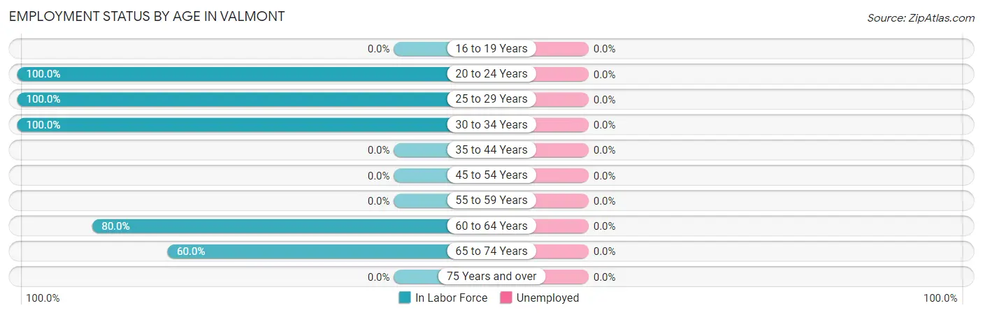 Employment Status by Age in Valmont