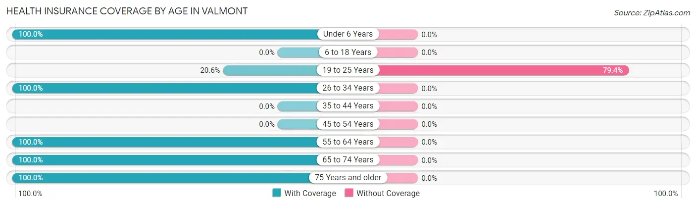 Health Insurance Coverage by Age in Valmont