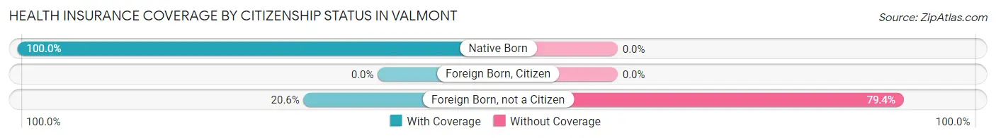 Health Insurance Coverage by Citizenship Status in Valmont