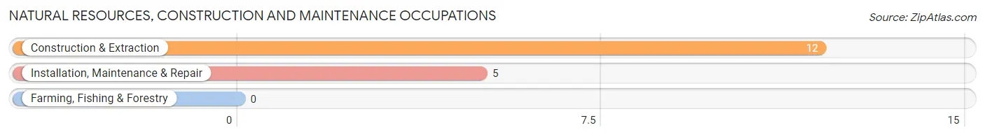 Natural Resources, Construction and Maintenance Occupations in Victor