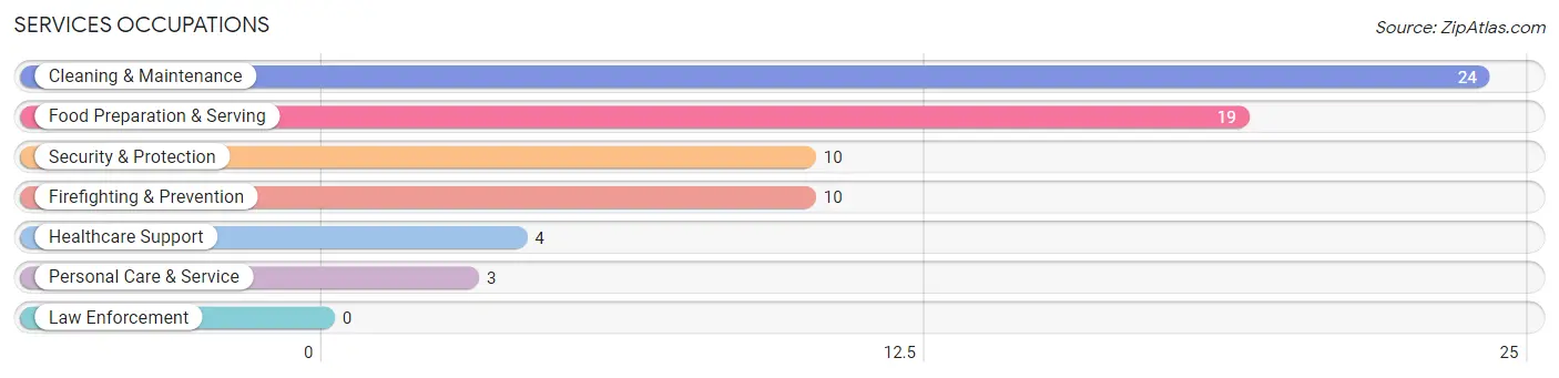 Services Occupations in Victor