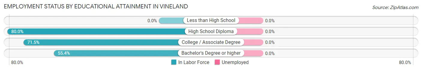 Employment Status by Educational Attainment in Vineland
