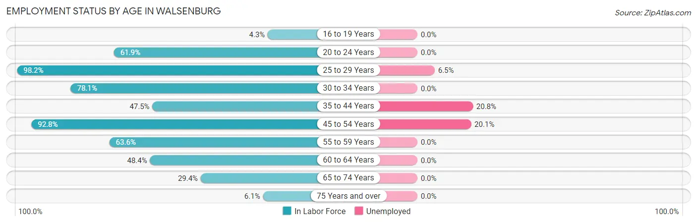Employment Status by Age in Walsenburg