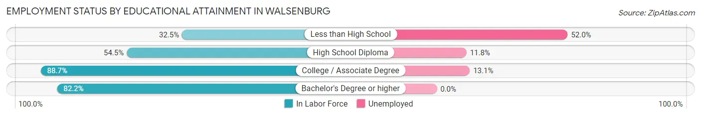 Employment Status by Educational Attainment in Walsenburg