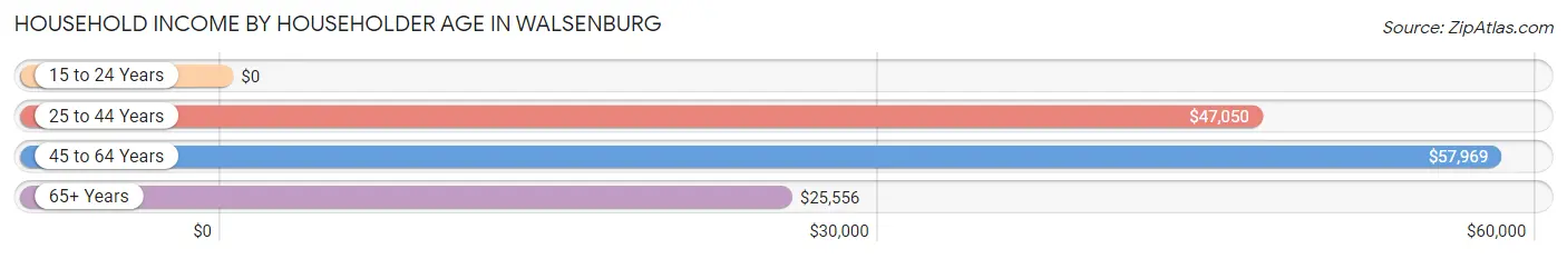 Household Income by Householder Age in Walsenburg