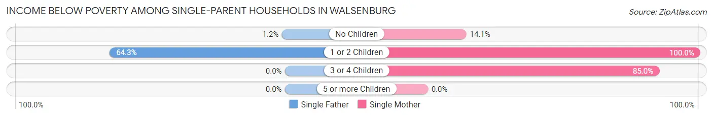 Income Below Poverty Among Single-Parent Households in Walsenburg