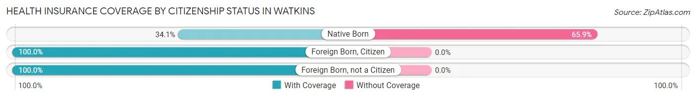 Health Insurance Coverage by Citizenship Status in Watkins