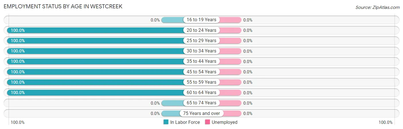 Employment Status by Age in Westcreek