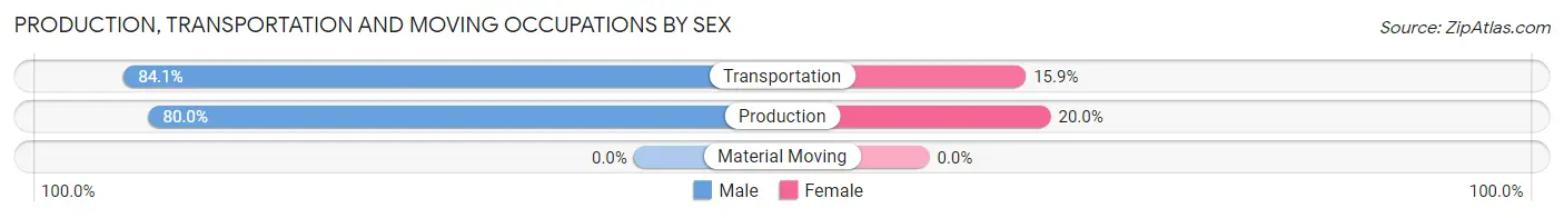 Production, Transportation and Moving Occupations by Sex in Williamsburg