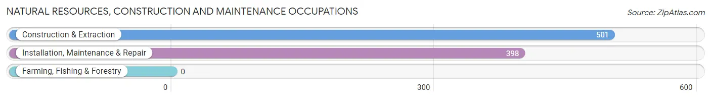 Natural Resources, Construction and Maintenance Occupations in Ansonia