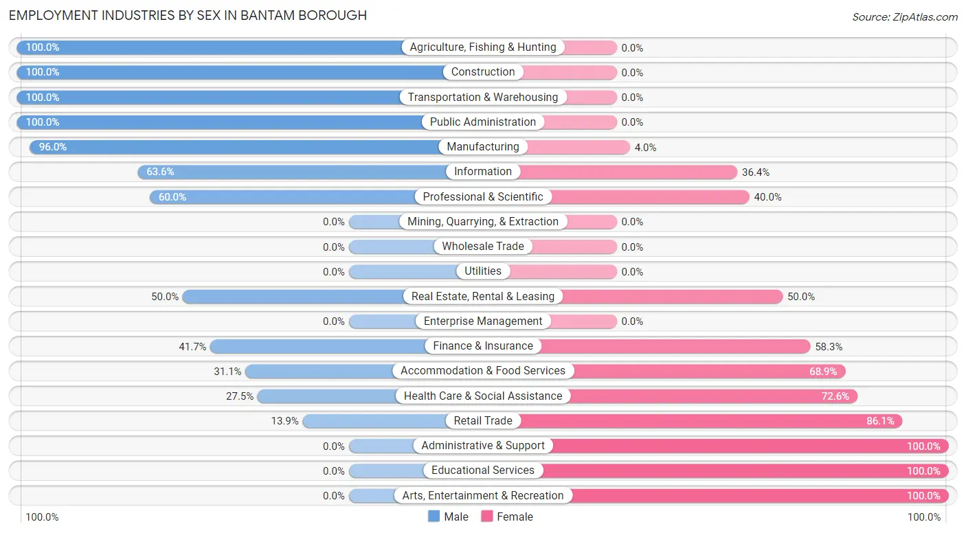 Employment Industries by Sex in Bantam borough